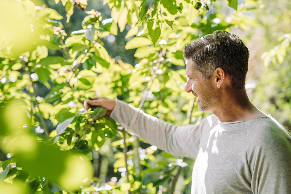How to Set and Achieve Your Health Goals
