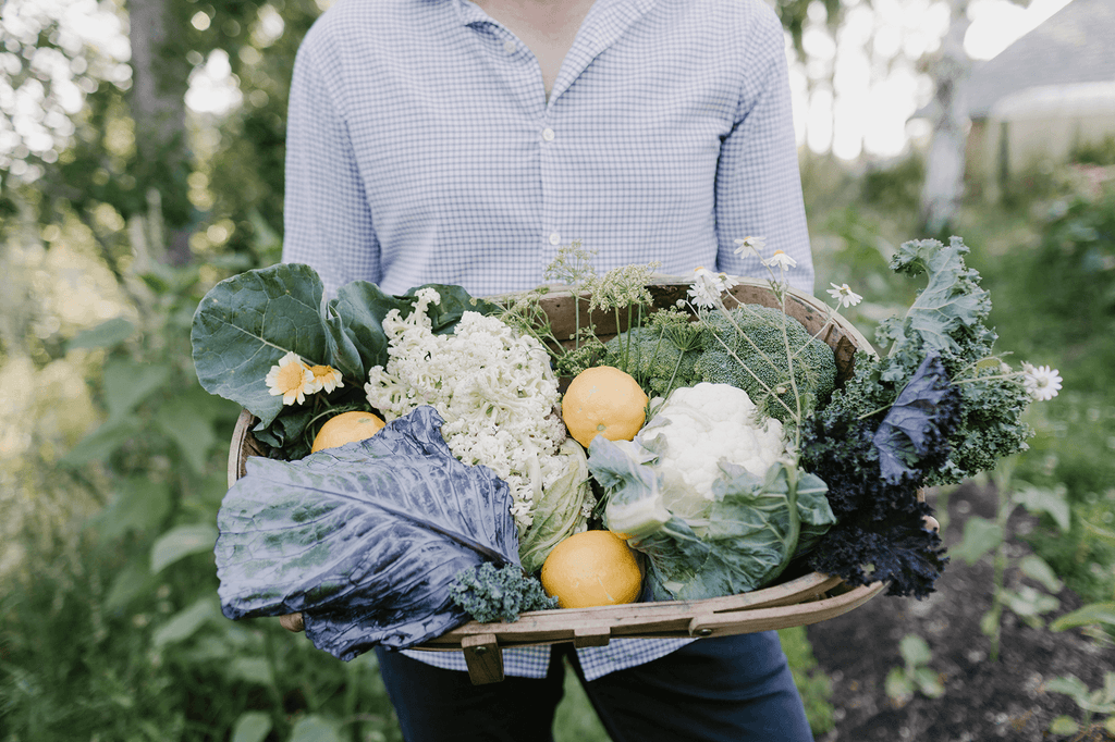 Is Your Diet Actually a Fad?