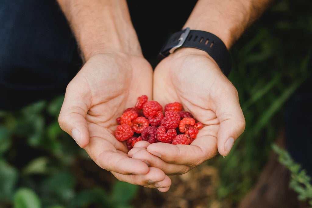 Are You Lacking Essential Nutrients?