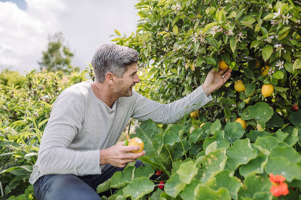 Is This The Missing Ingredient To Your Wellness?