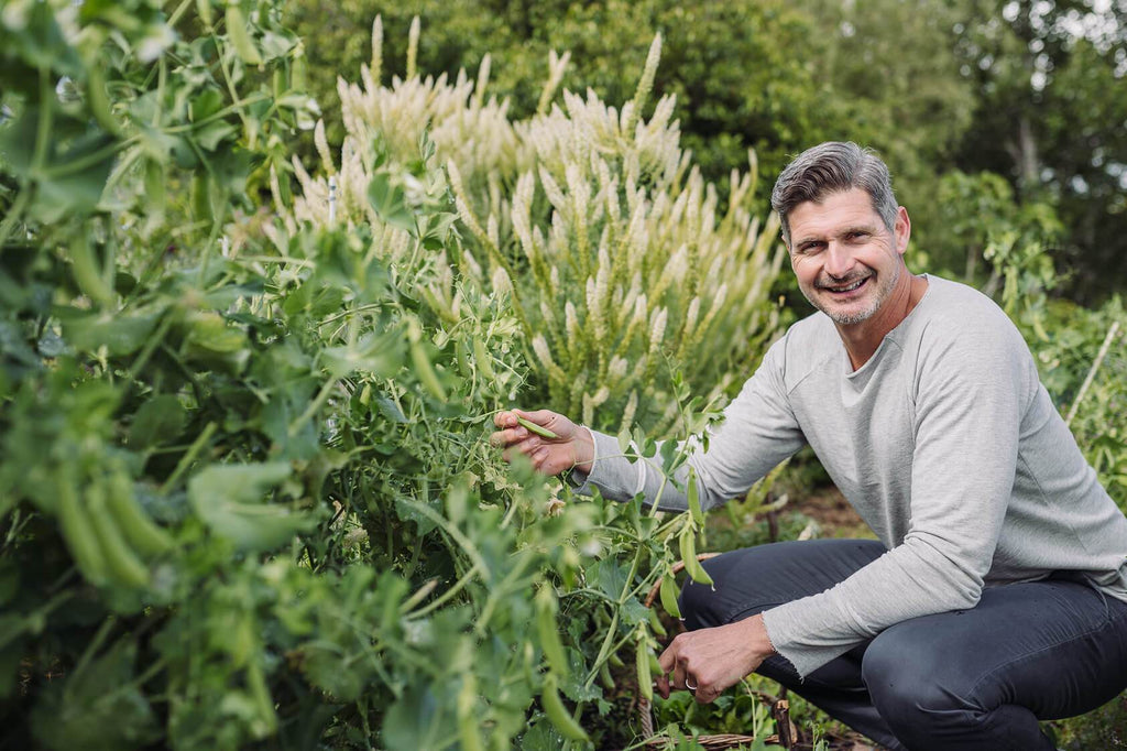 5 Reasons To Nourish Your Body With Nutrients